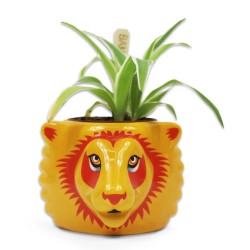 Half Moon Bay - Harry Potter- Plant Pot - Gryffindor